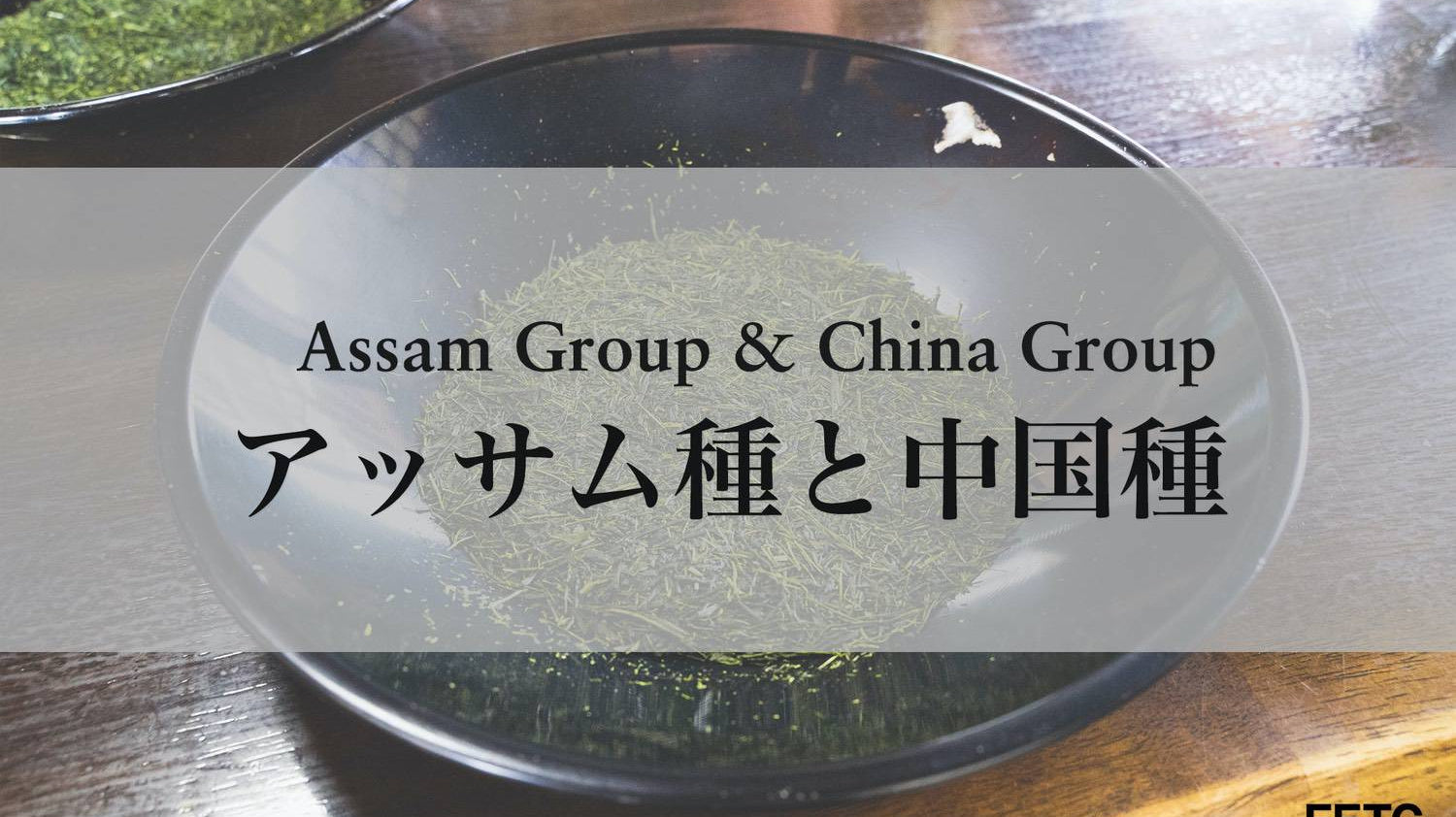 Assam Group & China Group