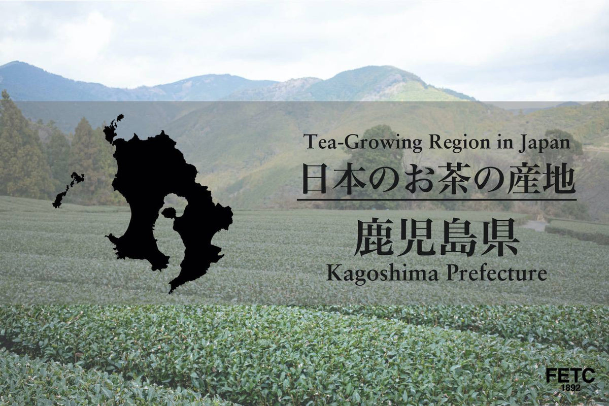 Sencha Kagoshima: Japans früher Grüntee aus dem Süden
