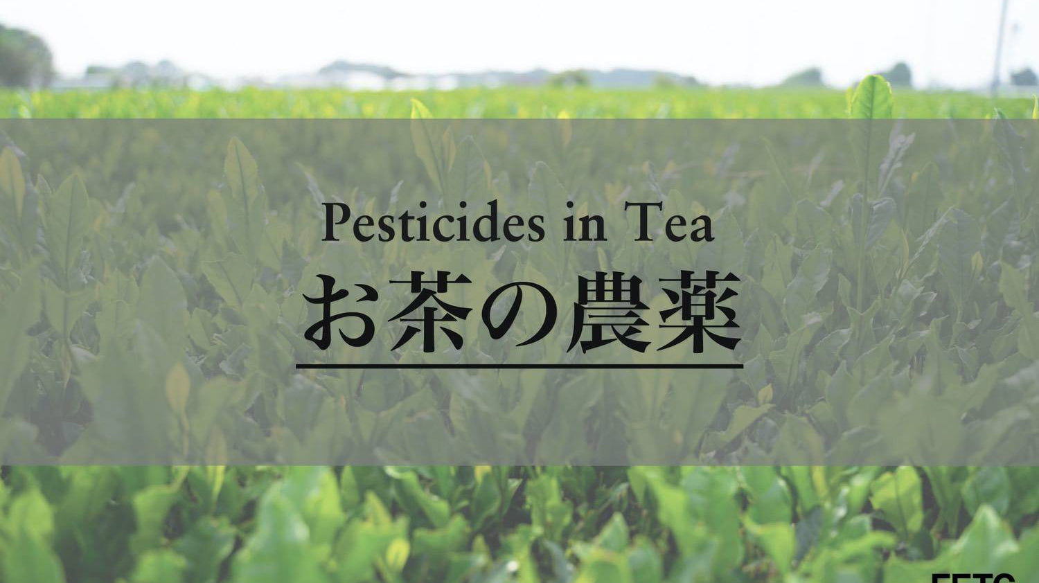 Pesticides in Tea
