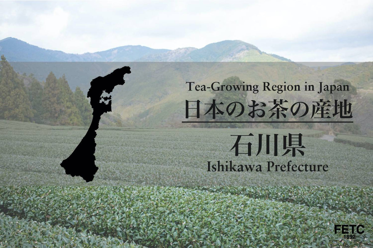日本茶產地|石川縣