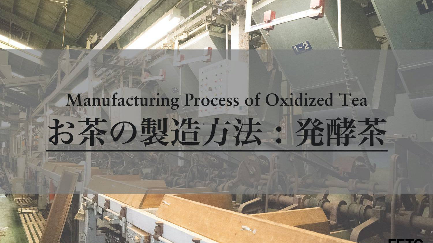 Manufacturing Process of Oxidized Tea (Black Tea)