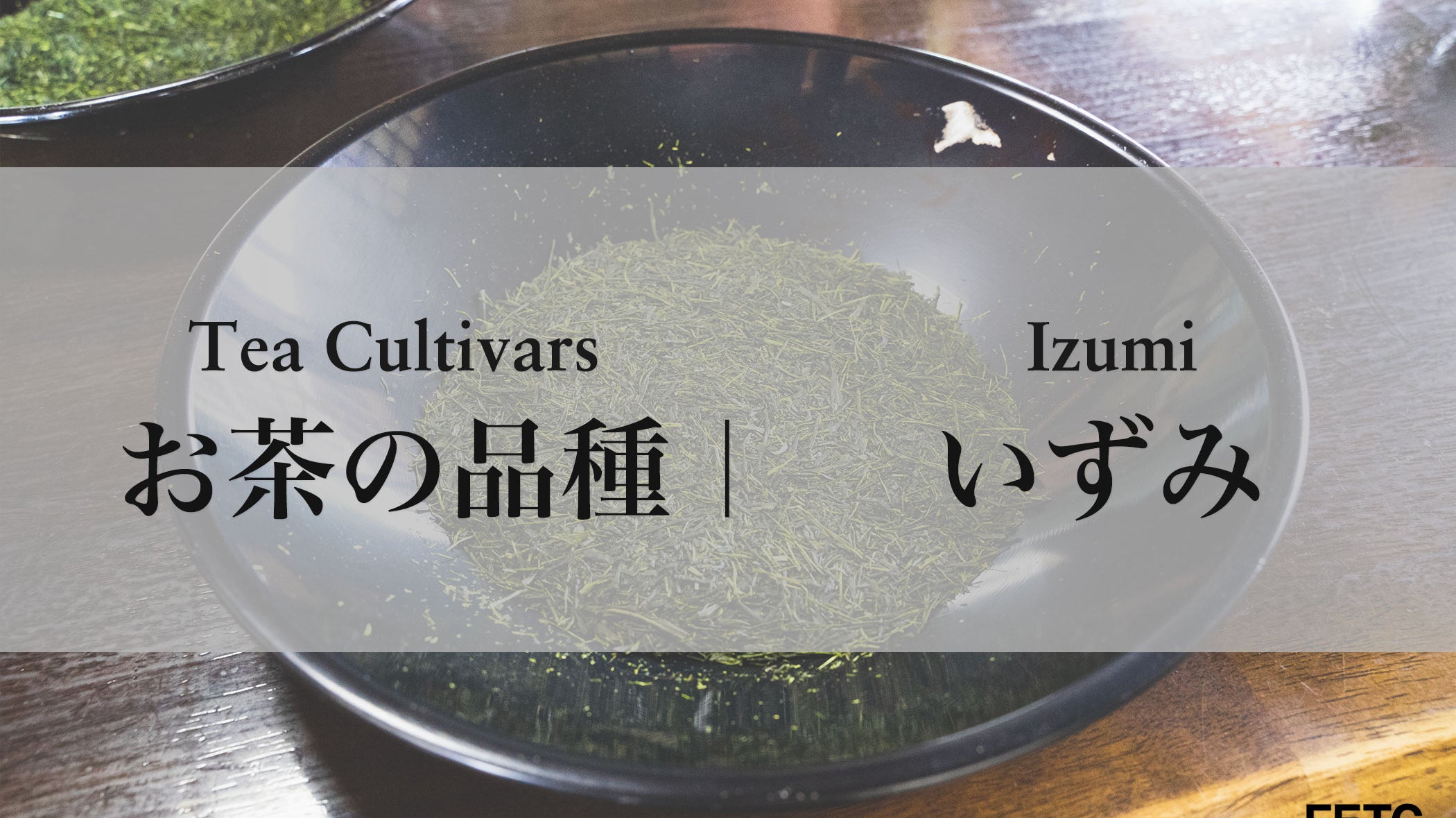 Tea Cultivar | Izumi