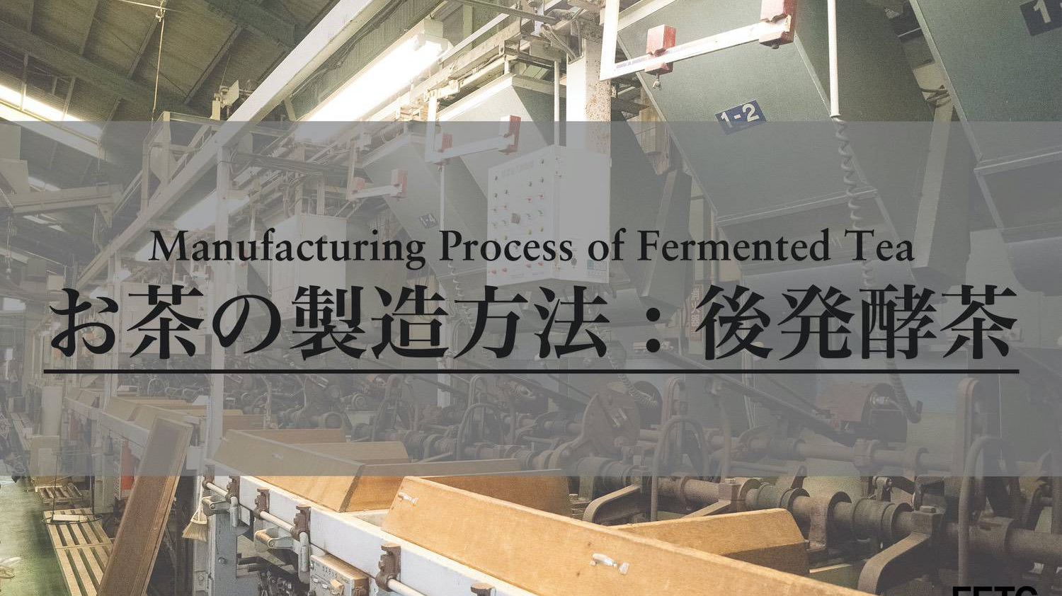 Manufacturing Process of Fermented Tea