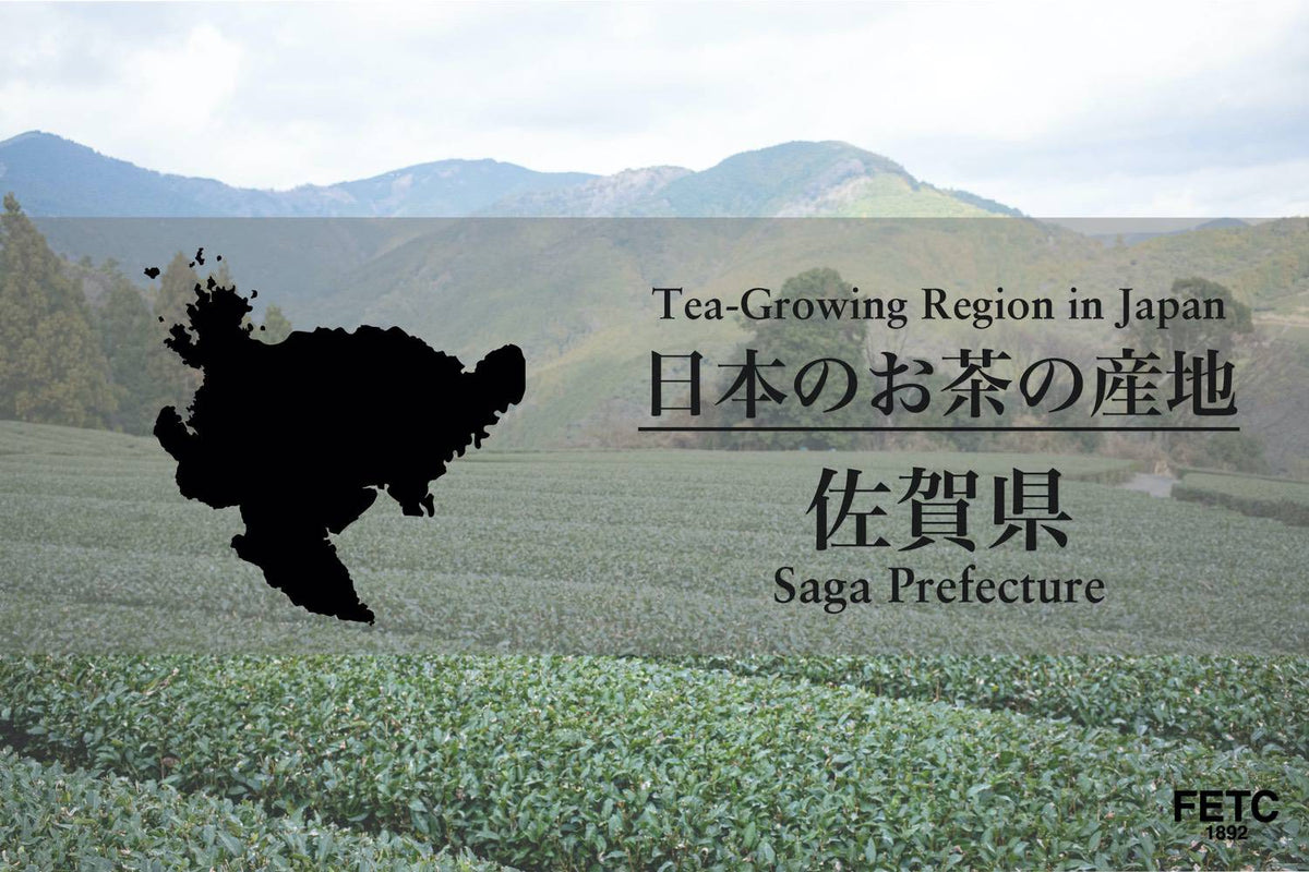 日本茶產地|佐賀縣