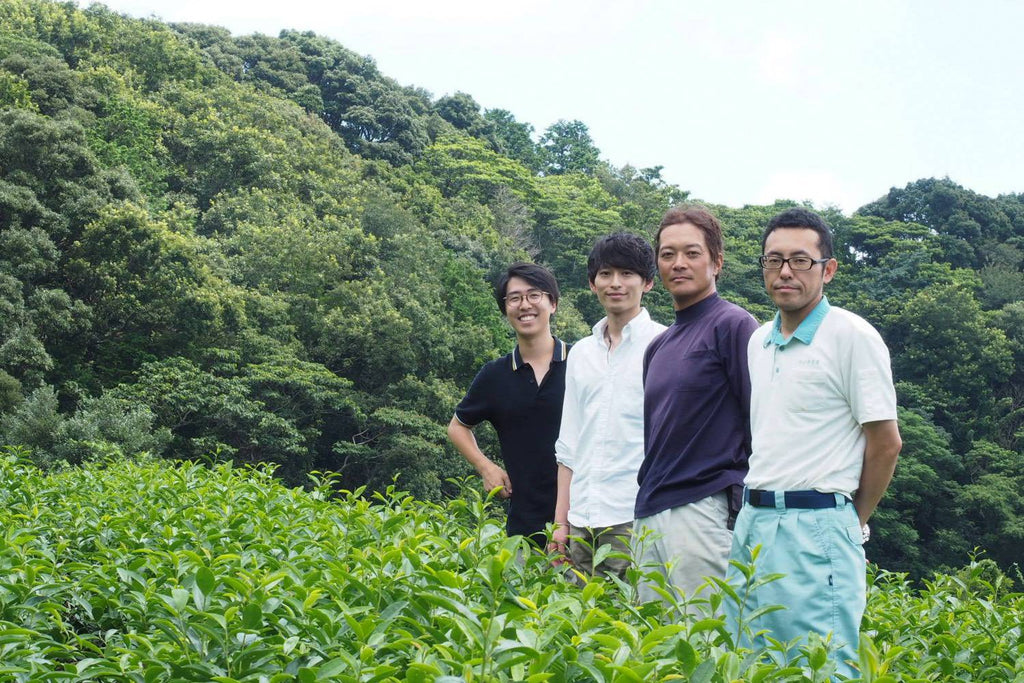 Tea growing with all the nature on the Makinohara Plateau(2/2)  | Oguri Tea Farm & Sugita Tea Farm, of Makinohara, Shizuoka