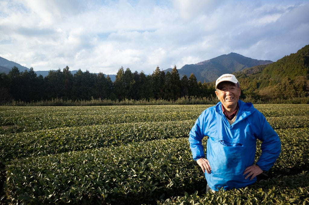 Tea farmer’s decision to bet his professional life. Master of Fujiedakaori | Nakayama Tea Factory in  Fujieda City, Shizuoka