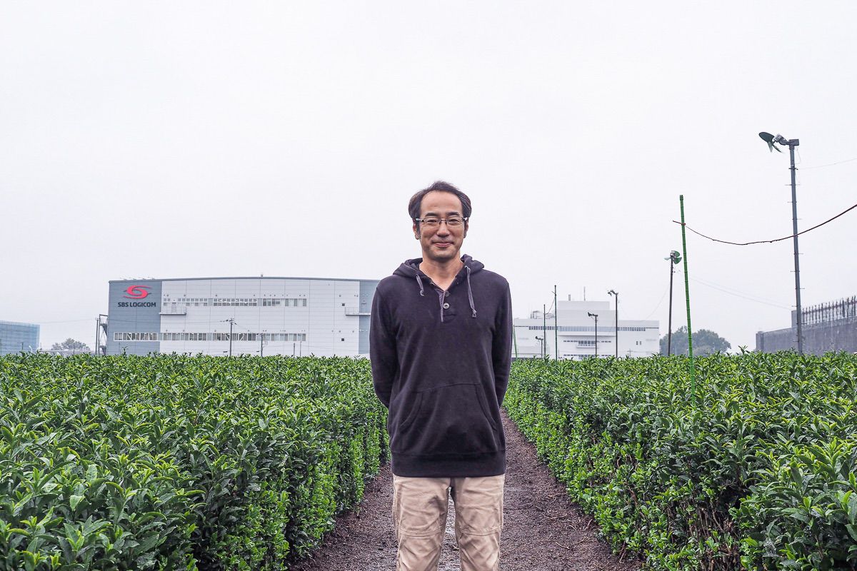 つながりを大切に。歴史と森の恵みが生む狭山茶｜埼玉県所沢市〈平岡園〉 – FAR EAST TEA COMPANY