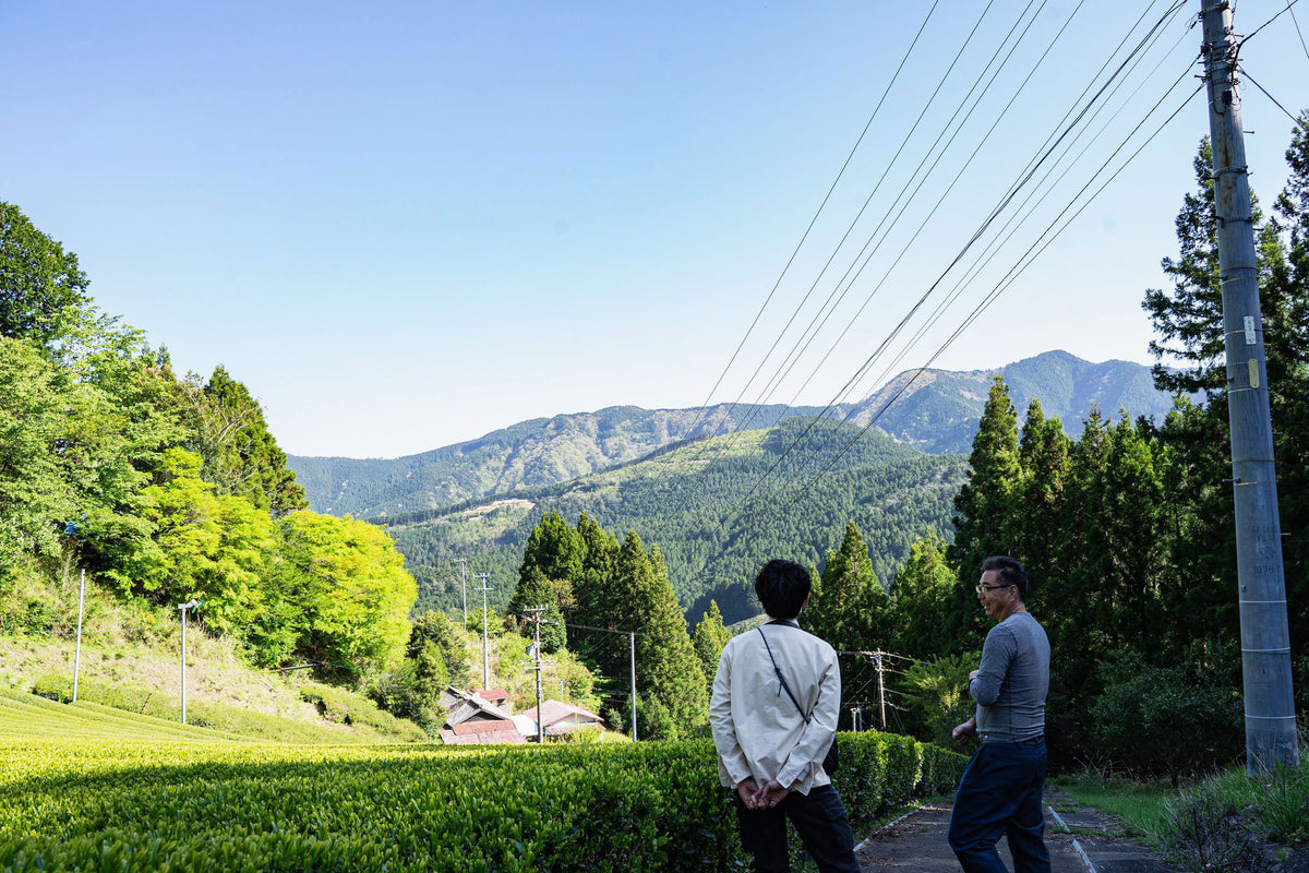 The Aroma the Mountain Makes. Taruwaki Tea Farm.