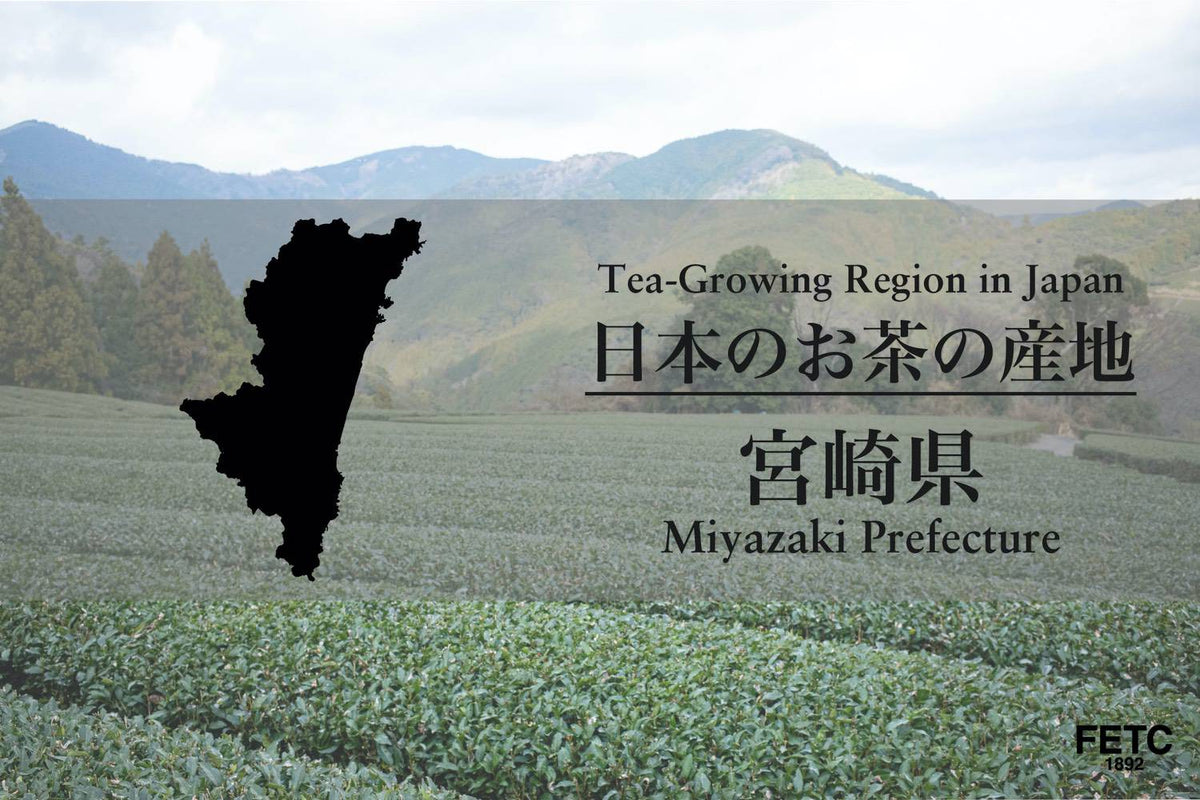 日本茶產地｜宮崎縣