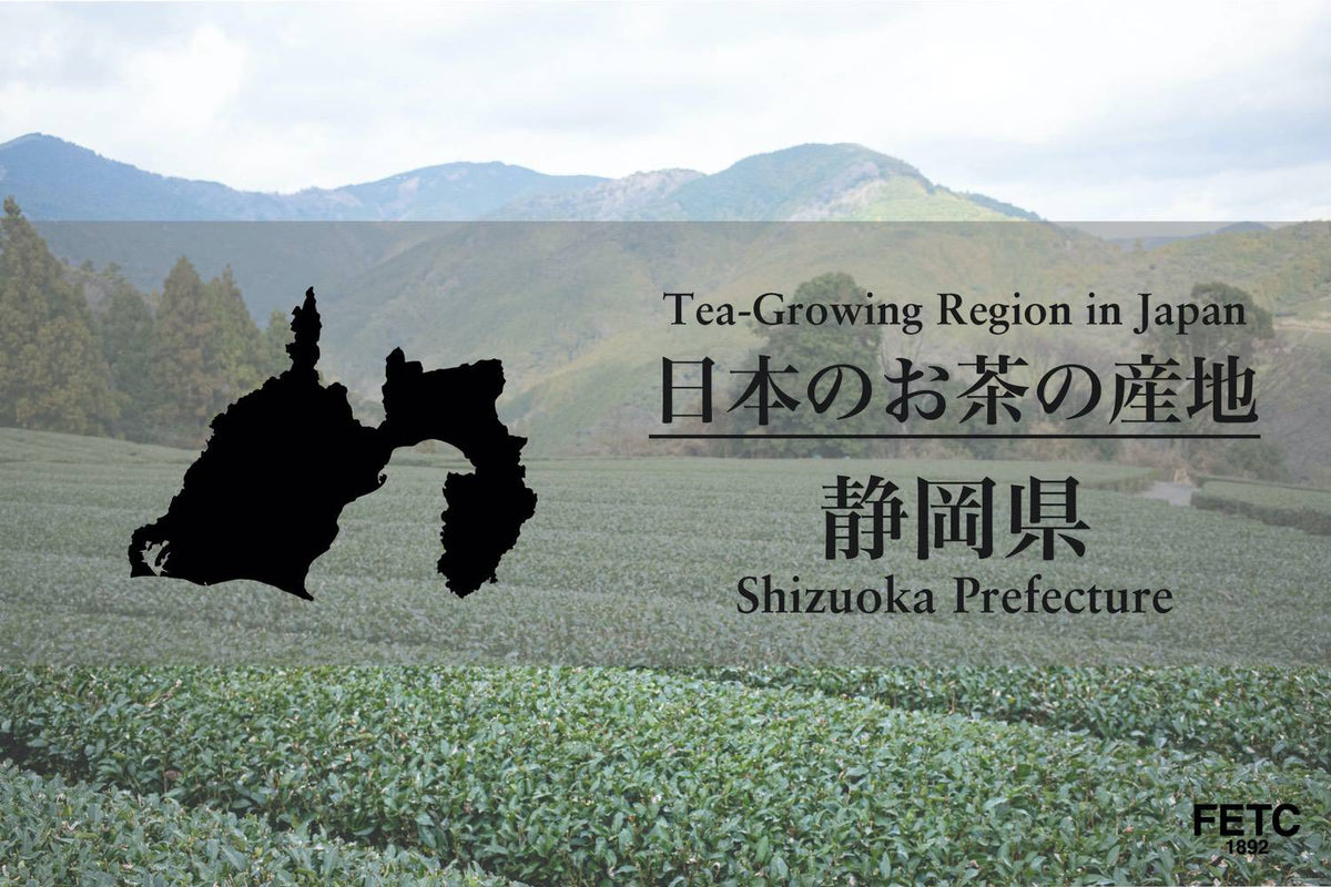 靜岡縣的茶葉產地：日本最大產地的煎茶與深蒸煎茶