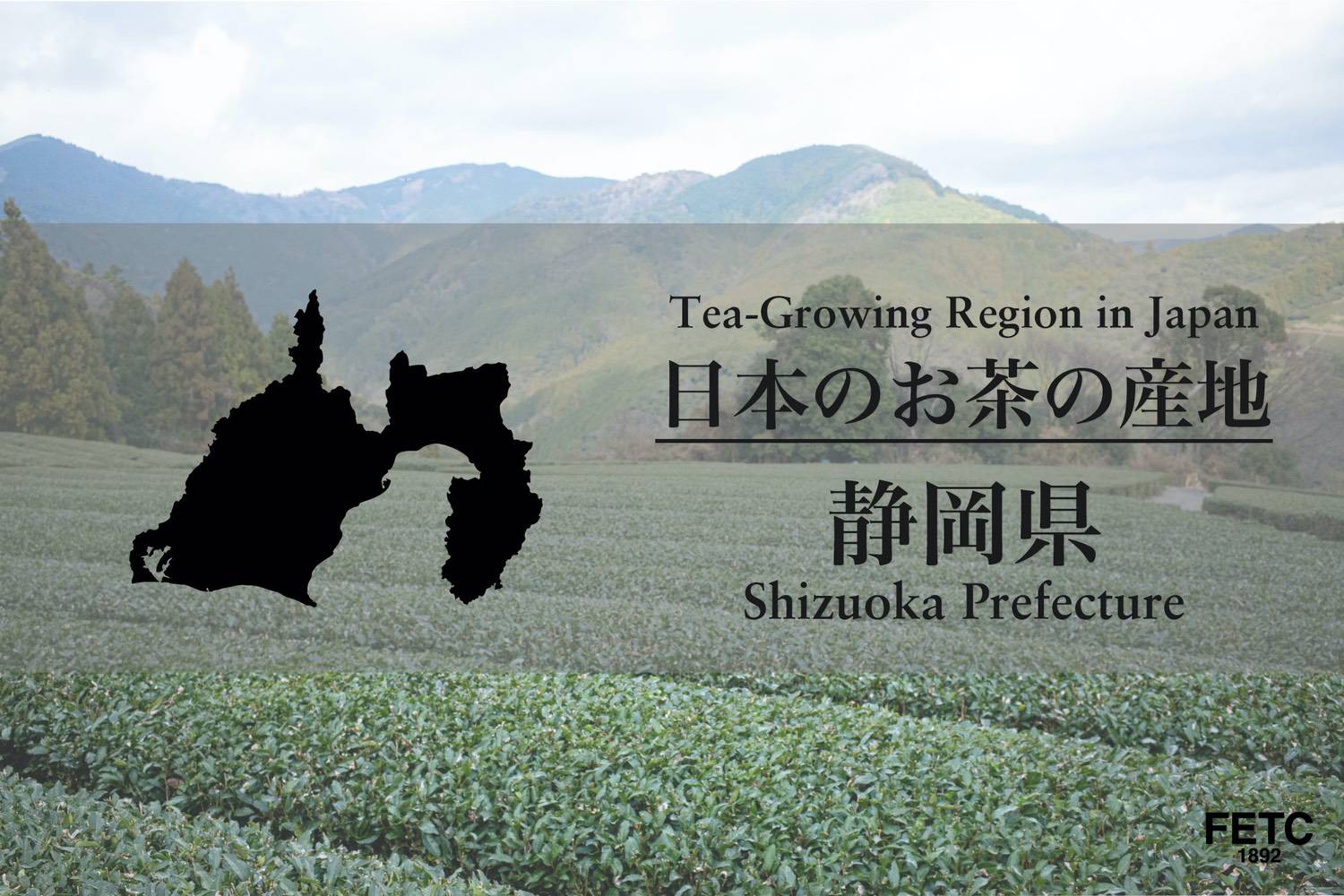 tea山tea(おちゃ)