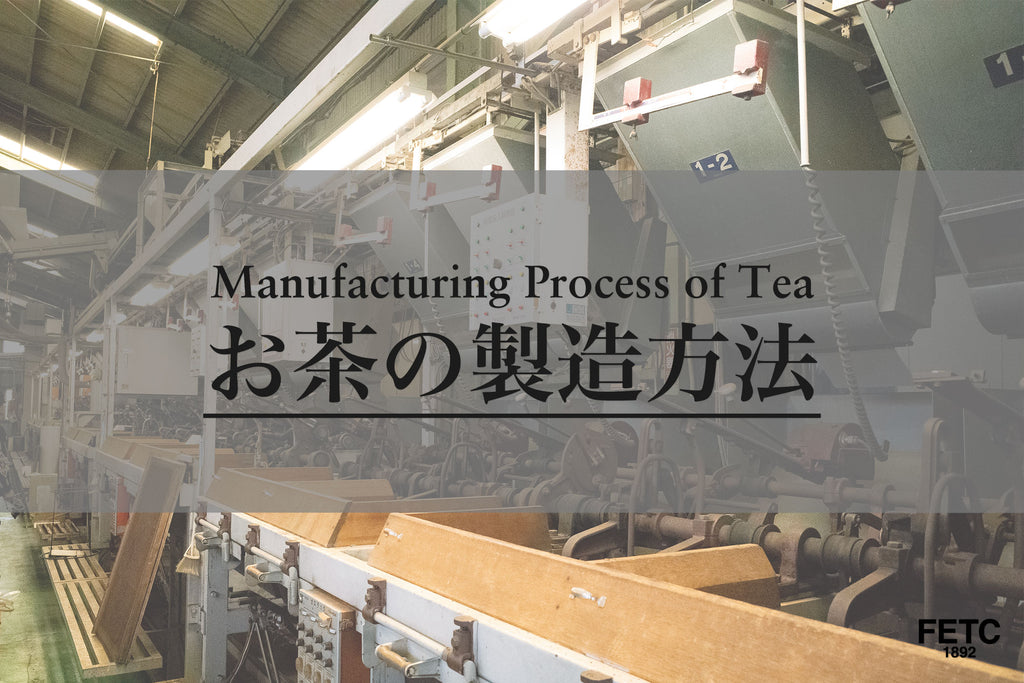 Manufacturing Process of Tea