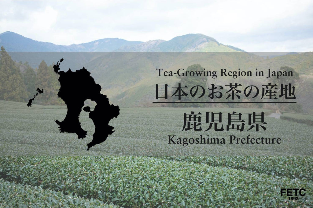 Tea-Growing Region in Japan | Kagoshima Prefecture