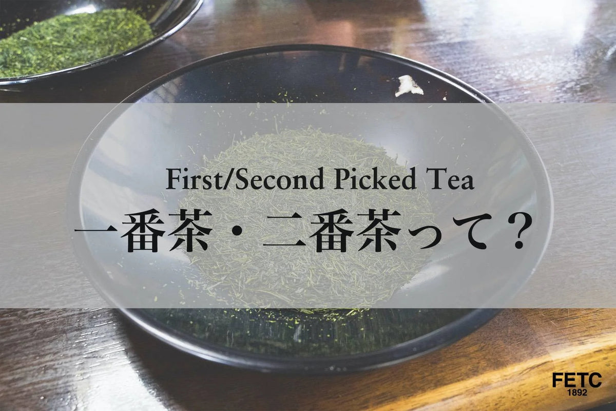 Ichibancha et Nibancha : les récoltes du thé japonais
