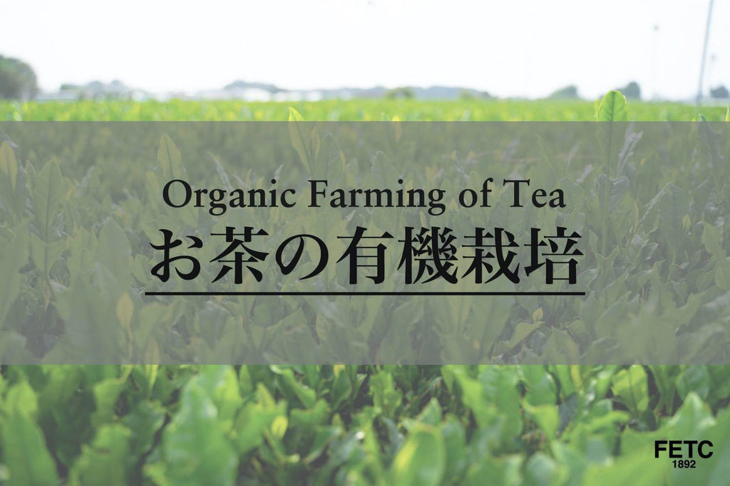 Organic Farming of Tea