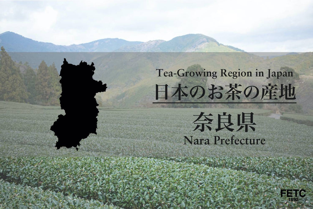 Tea-Growing Region In Japan | Nara Prefecture