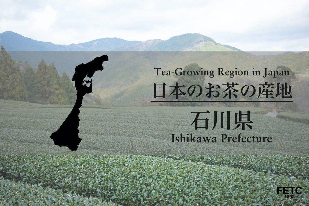 Tea-Growing Region in Japan | Ishikawa Prefecture