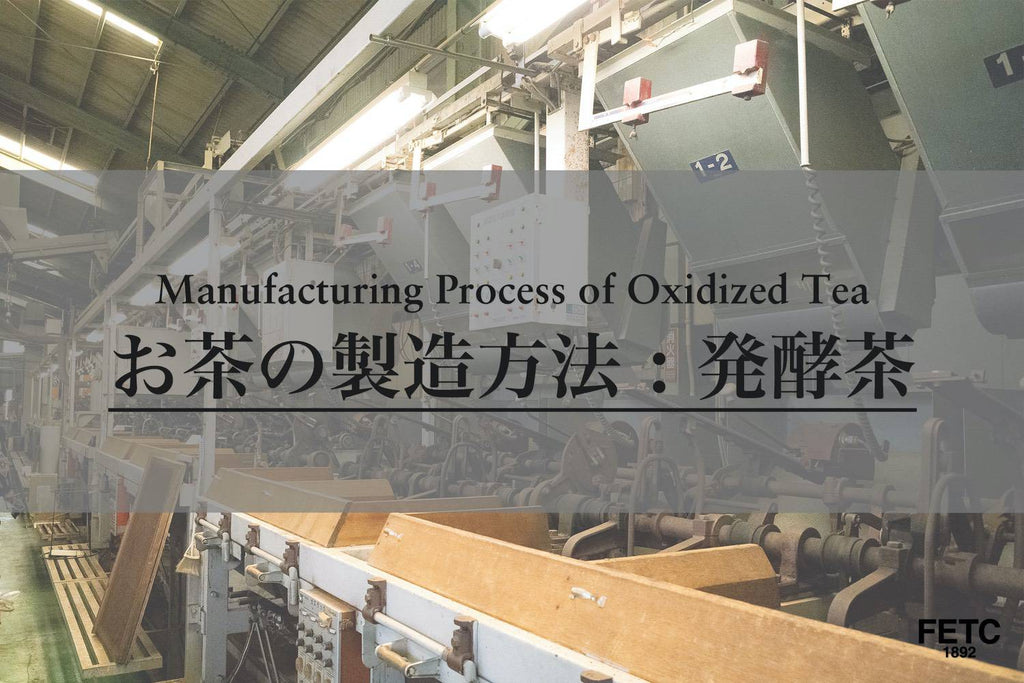 Manufacturing Process of Oxidized Tea (Black Tea)