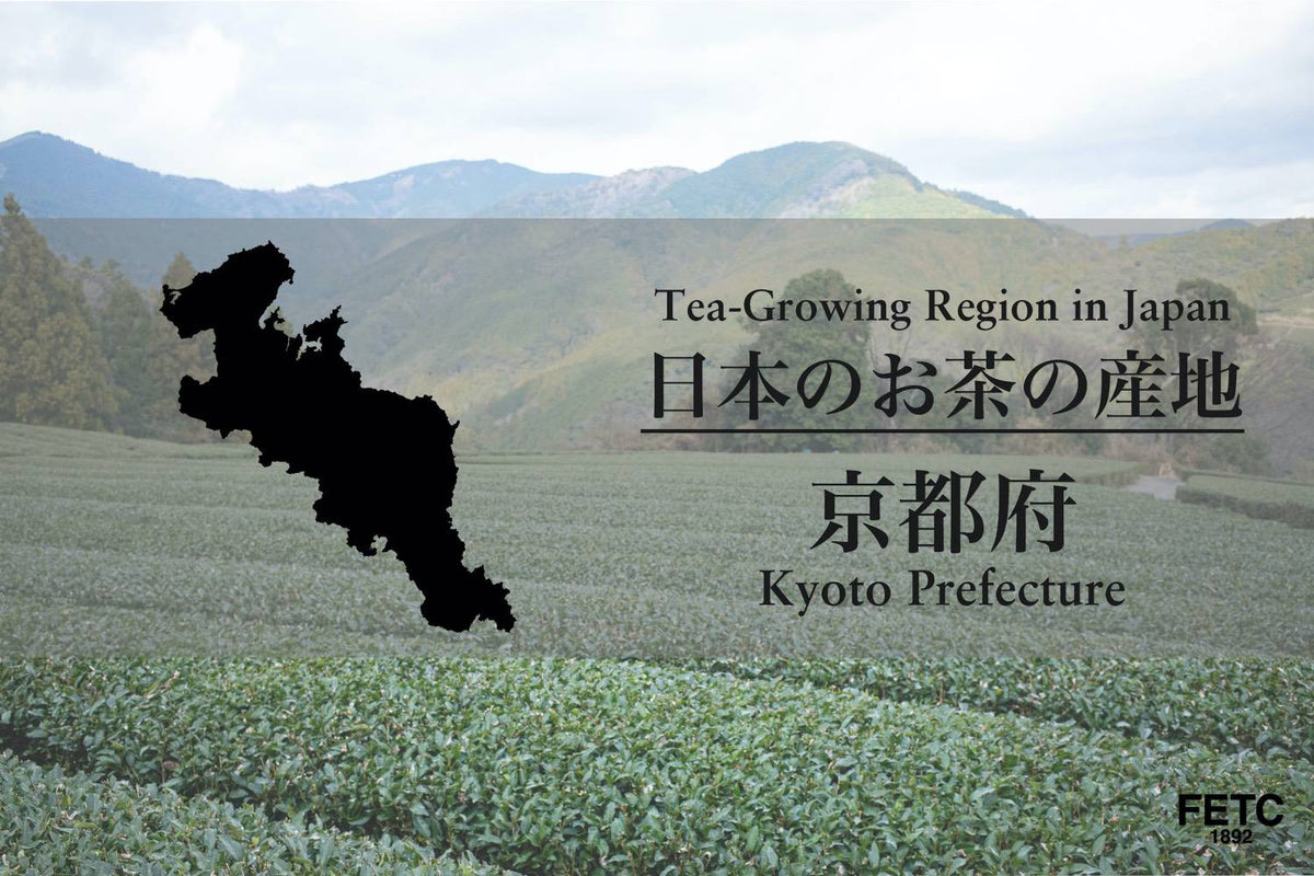 京都（宇治）的茶葉產地：日本最負盛名的抹茶與玉露產地