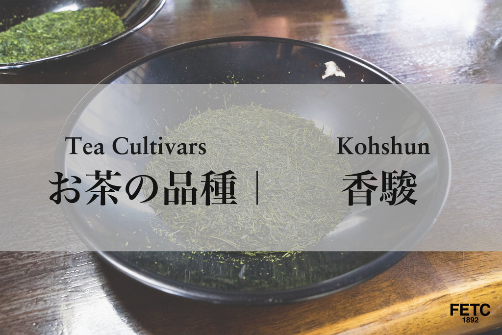 Tea Cultivar | Kohshun