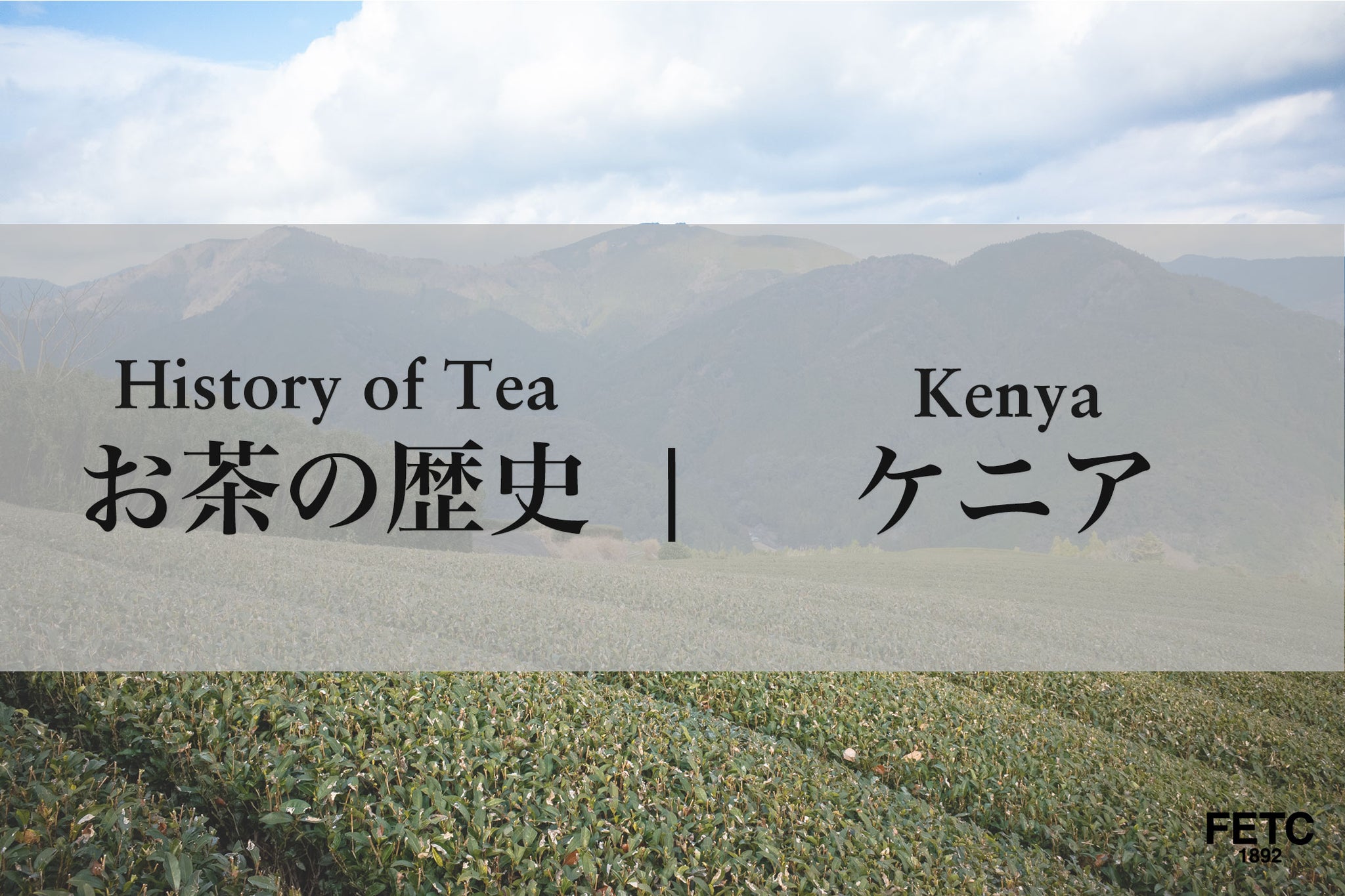 FAR EAST TEA CLUB – タグ：