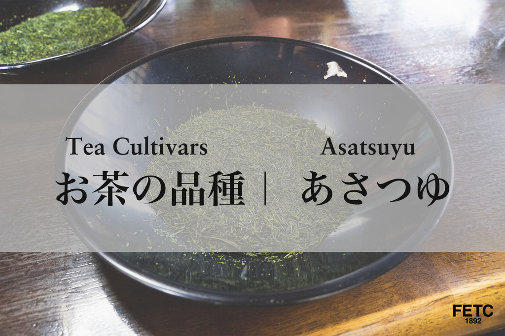 Tea Cultivar | Asatsuyu