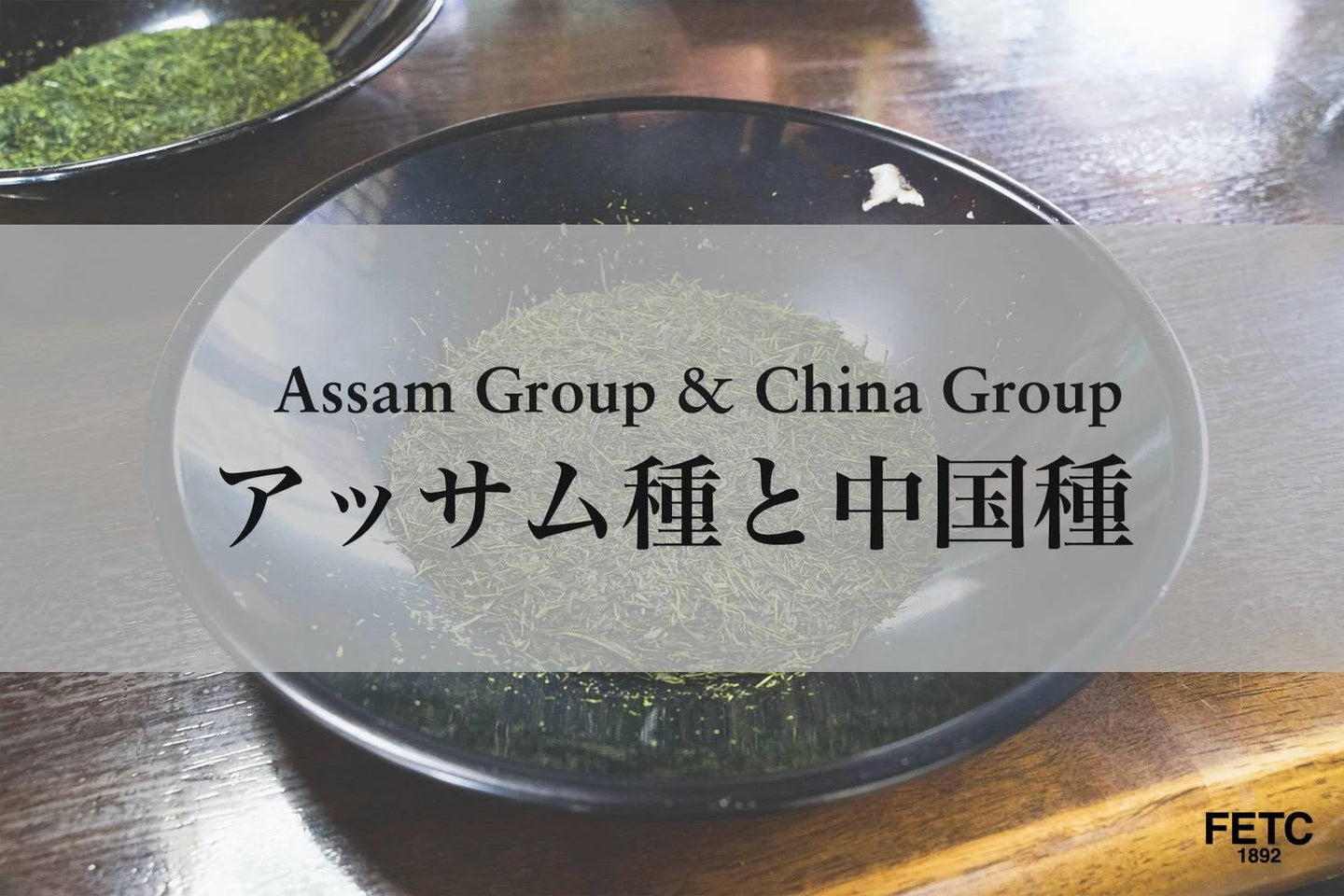 Assam vs China Tea Plants: Two Origins of Every Tea