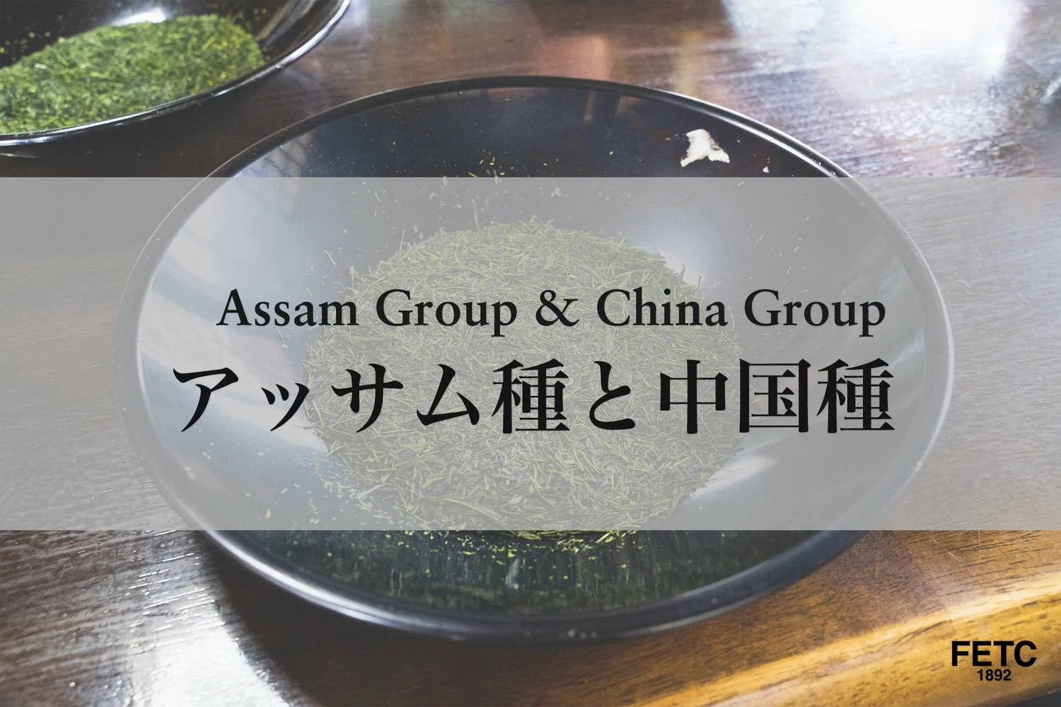 Assam vs China Tea Plants: Two Origins of Every Tea