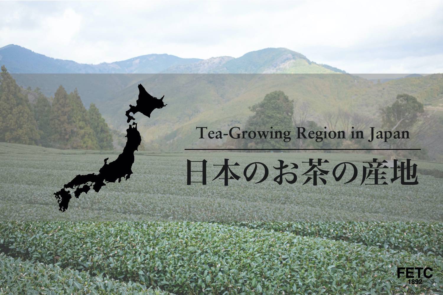 日本のお茶の産地(Tea Growing Regions in Japan)