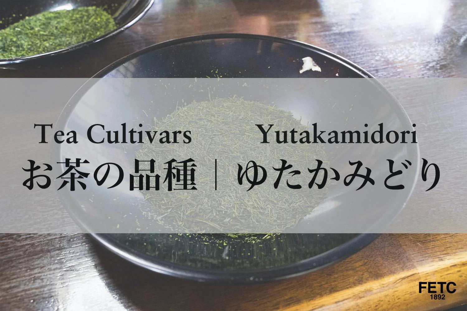 Yutakamidori: Kagoshima's Early-Harvest Green Tea Cultivar