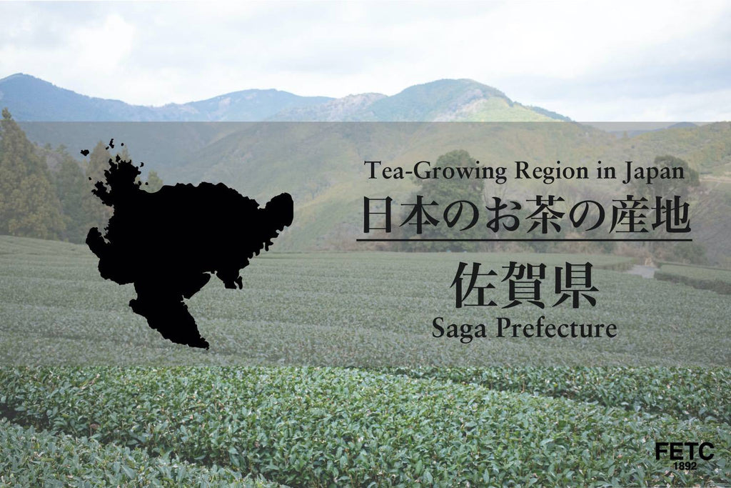 Tea-Growing Region In Japan | Saga Prefecture